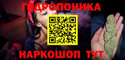 гидропоника Краснокаменск