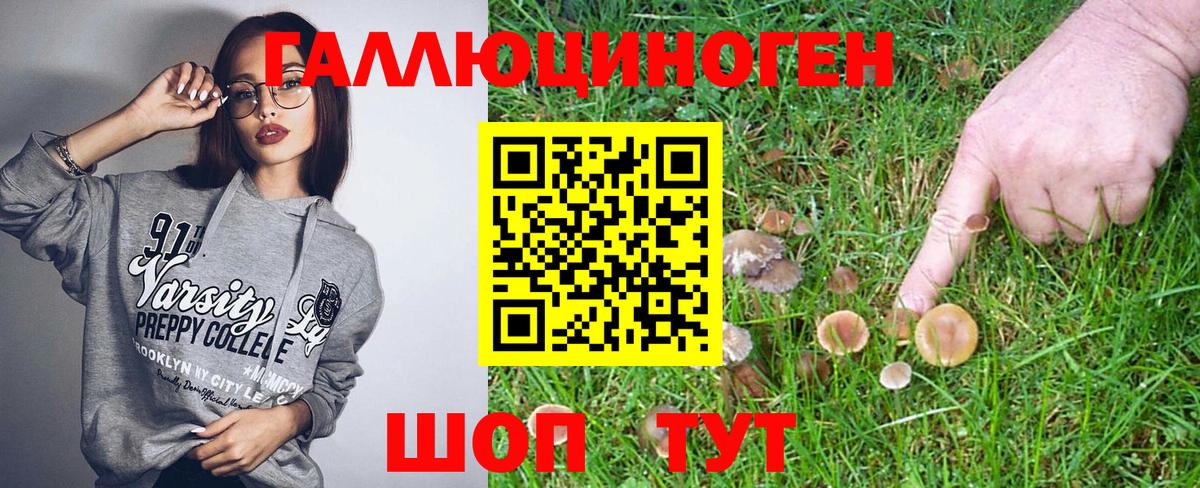 Псилоцибиновые грибы Psilocybe  Галлюциногенные грибы Cubensis  Жигулёвск  Вход с VPN 