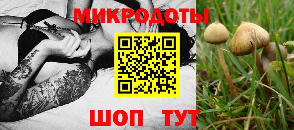 Галлюциногенные грибы MAGIC MUSHROOMS Жигулёвск